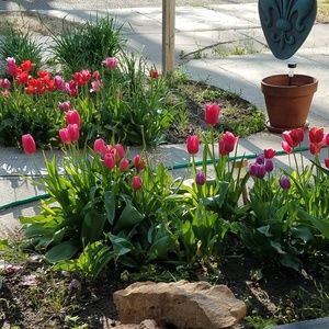 Meet your Posher, Doris